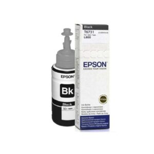 Epson T673 Black Ink bottle